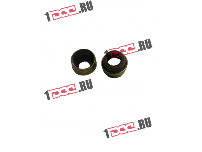 Колпачок маслосъемный WP12 SHAANXI / Shacman (ШАНКСИ / Шакман) 61800050151 фото 1 Великий Новгород